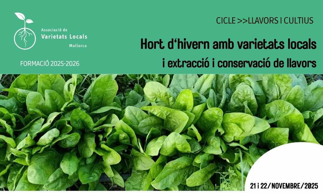 Hort d'hivern amb varietats locals i extracció i conservació de llavors