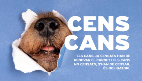 cens cans porreres
