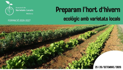 Formació per preparar l’hort d’hivern amb varietats locals